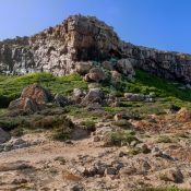 05plett016
