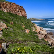 05plett020