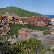 05plett021