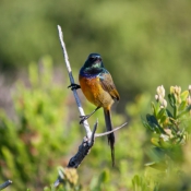 05plett022