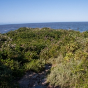 05plett026