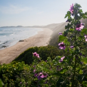 06knysna006