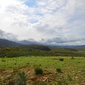 07oudtshoorn001