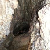 07oudtshoorn003