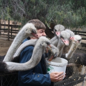 07oudtshoorn019