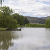 07oudtshoorn022