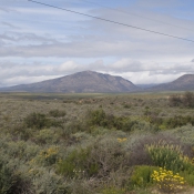 07oudtshoorn026