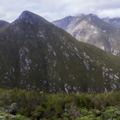 07oudtshoorn028