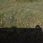 09Kapstadt050