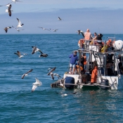 10hermanus004