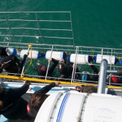 10hermanus009