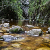 11to_montagu003