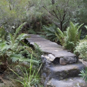 11to_montagu005
