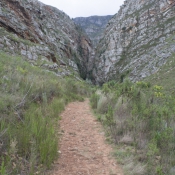 11to_montagu006