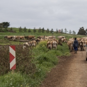 11to_montagu007