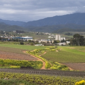 11to_montagu008