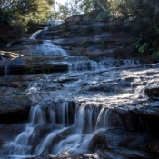 sydney016