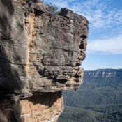 sydney017