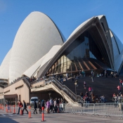sydney032