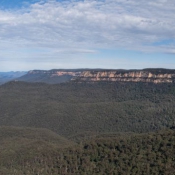 sydney036