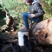 tasmanien004