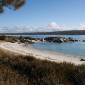 tasmanien028