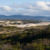 tasmanien035