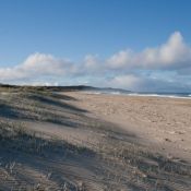 tasmanien038