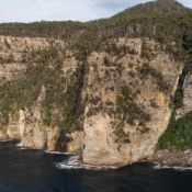 tasmanien048
