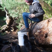 tasmanien004
