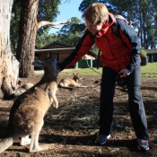 tasmanien013