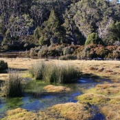 tasmanien016