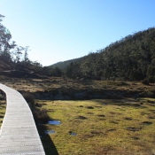 tasmanien017