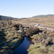 tasmanien018