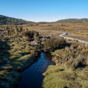 tasmanien019