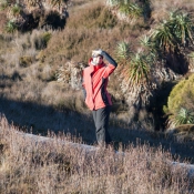tasmanien022