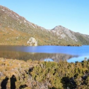 tasmanien024