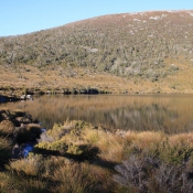 tasmanien026