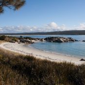tasmanien028