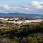 tasmanien035
