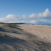 tasmanien038