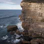 tasmanien043