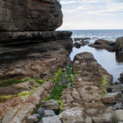 tasmanien044