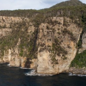 tasmanien048